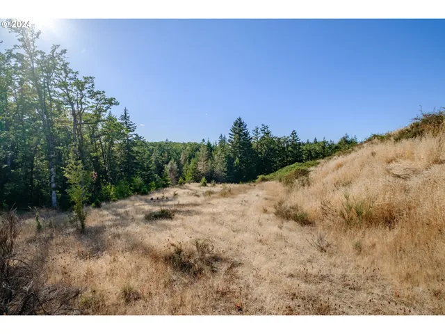 a view of outdoor space and trees