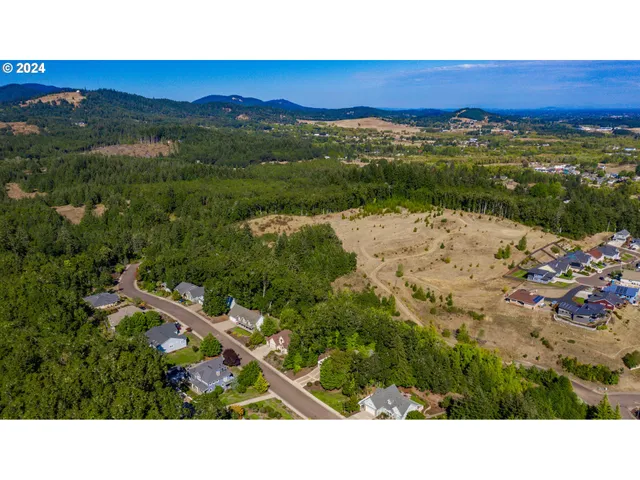 a open area with mountains in the background