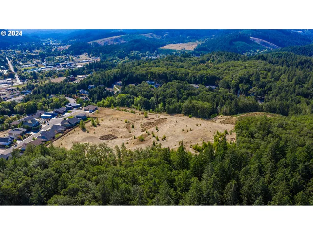 a view of a city with lush green forest