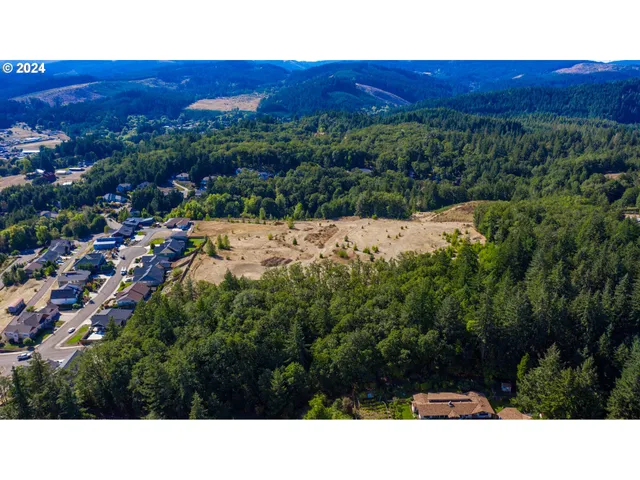 a view of a lot of trees and bushes