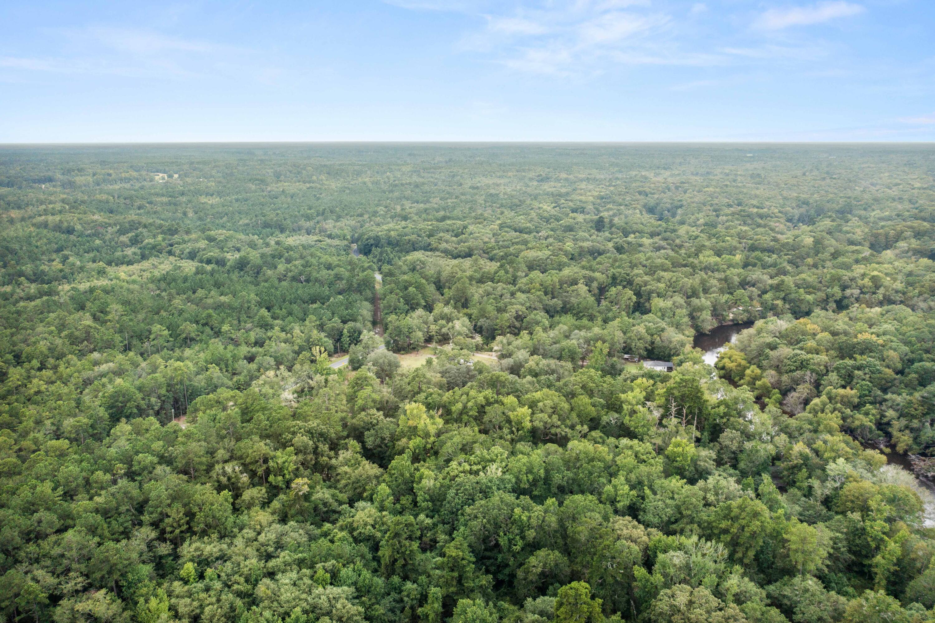 4337 Cannon Road Round O, SC 29474 - Photo 25 of 32 DJI_0333