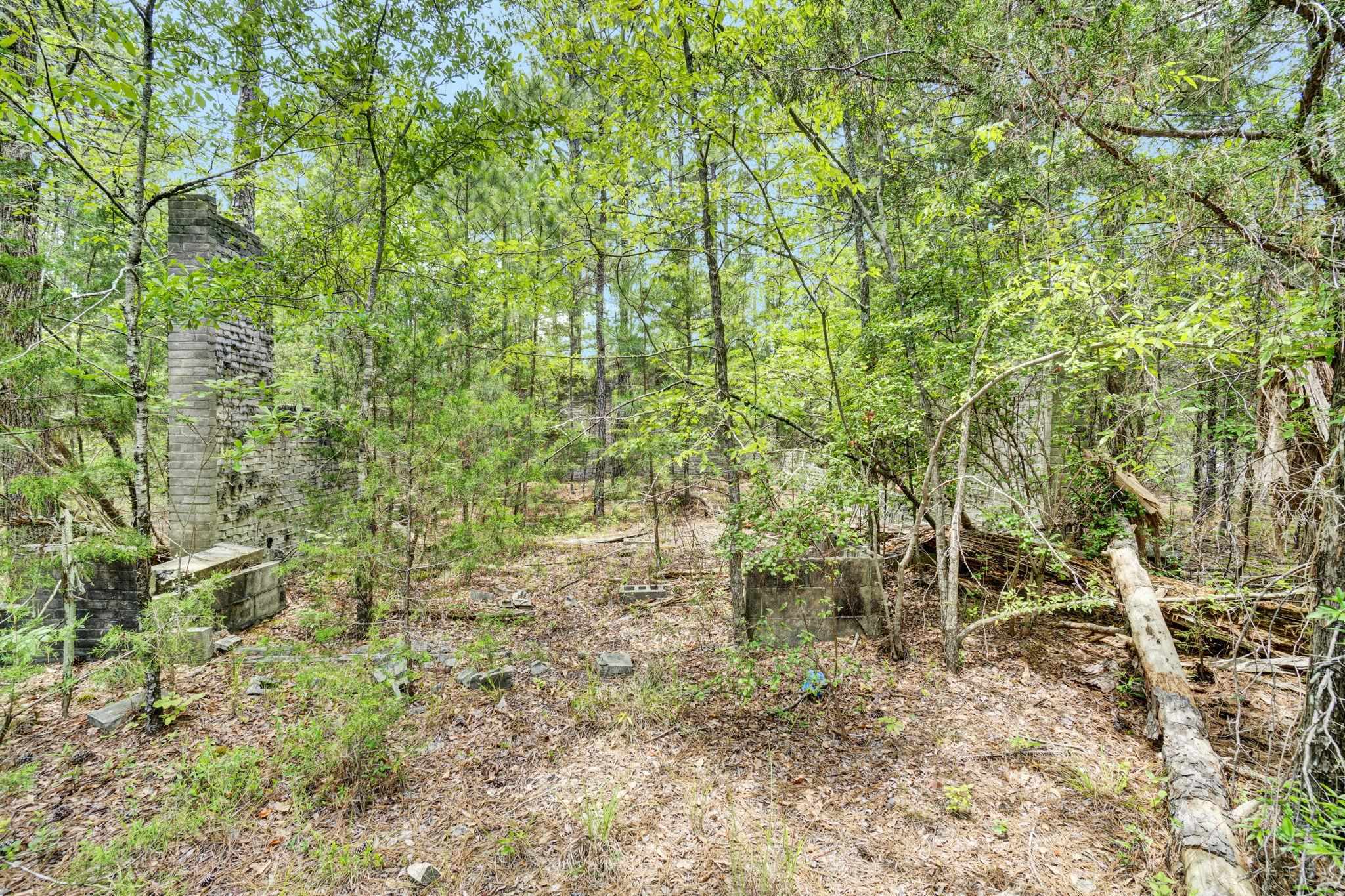 0 Stomp Springs Circle Clinton, SC 29325 - Photo 14 of 22