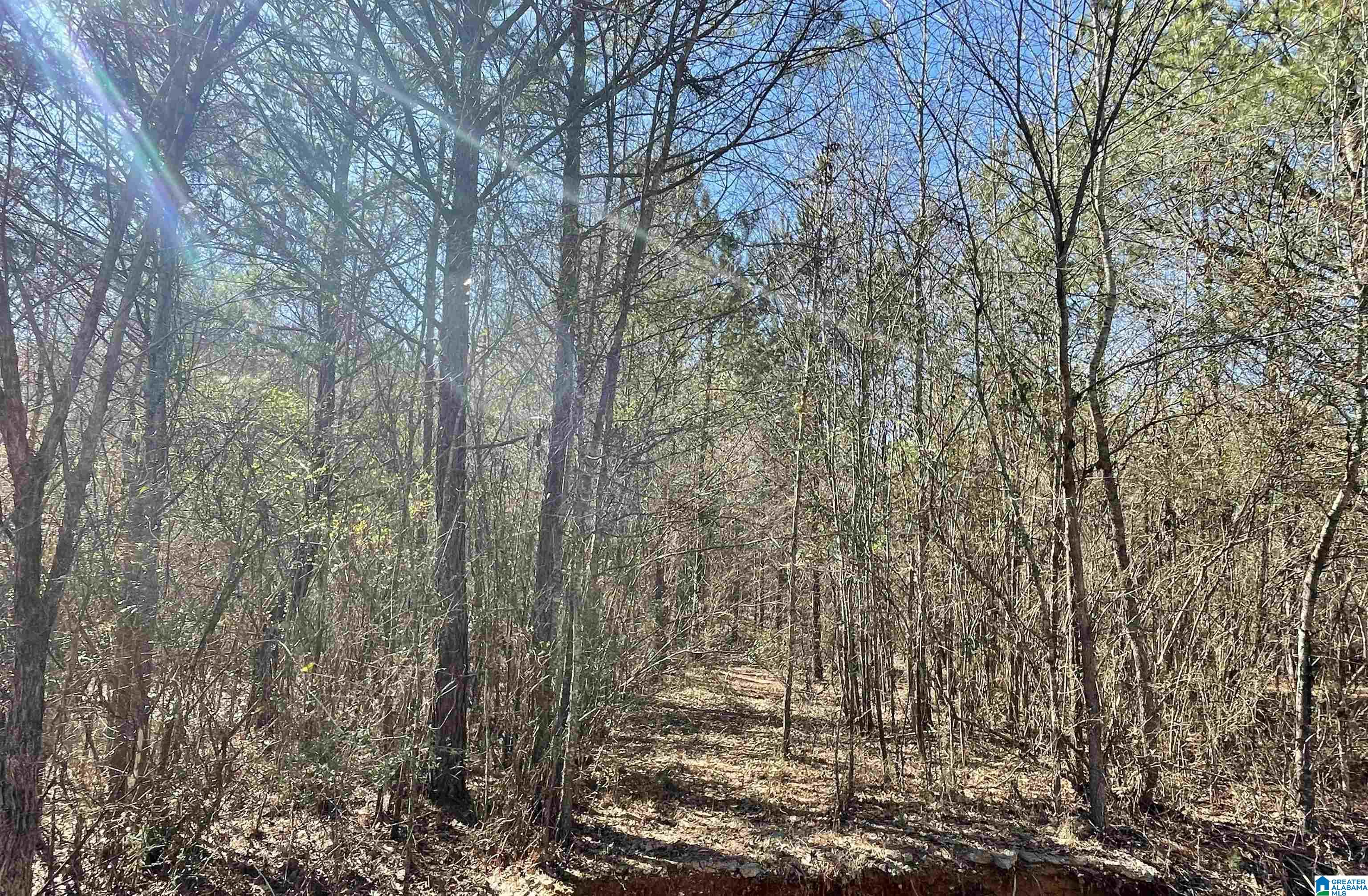 0 Wolf Pond Road, Unit 13 ACRES Talladega, AL 35160 - Photo 5 of 5