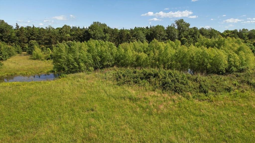 801 Jefferson Road Paris, TX 75460 - Photo 15 of 20 Pond, trees, land