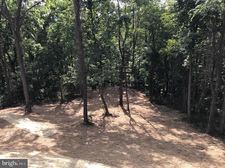 471 Summit Point Drive Front Royal, VA 22630 - Photo 28 of 42 Beautiful wooded lot, photo similar