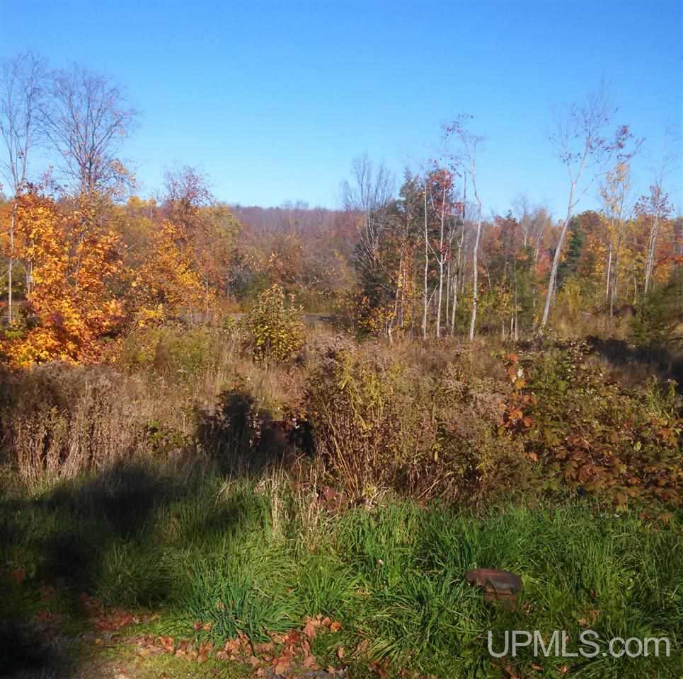 4003 Agate Beach Road Toivola, MI 49965 - Photo 5 of 21 Gallery Image 5