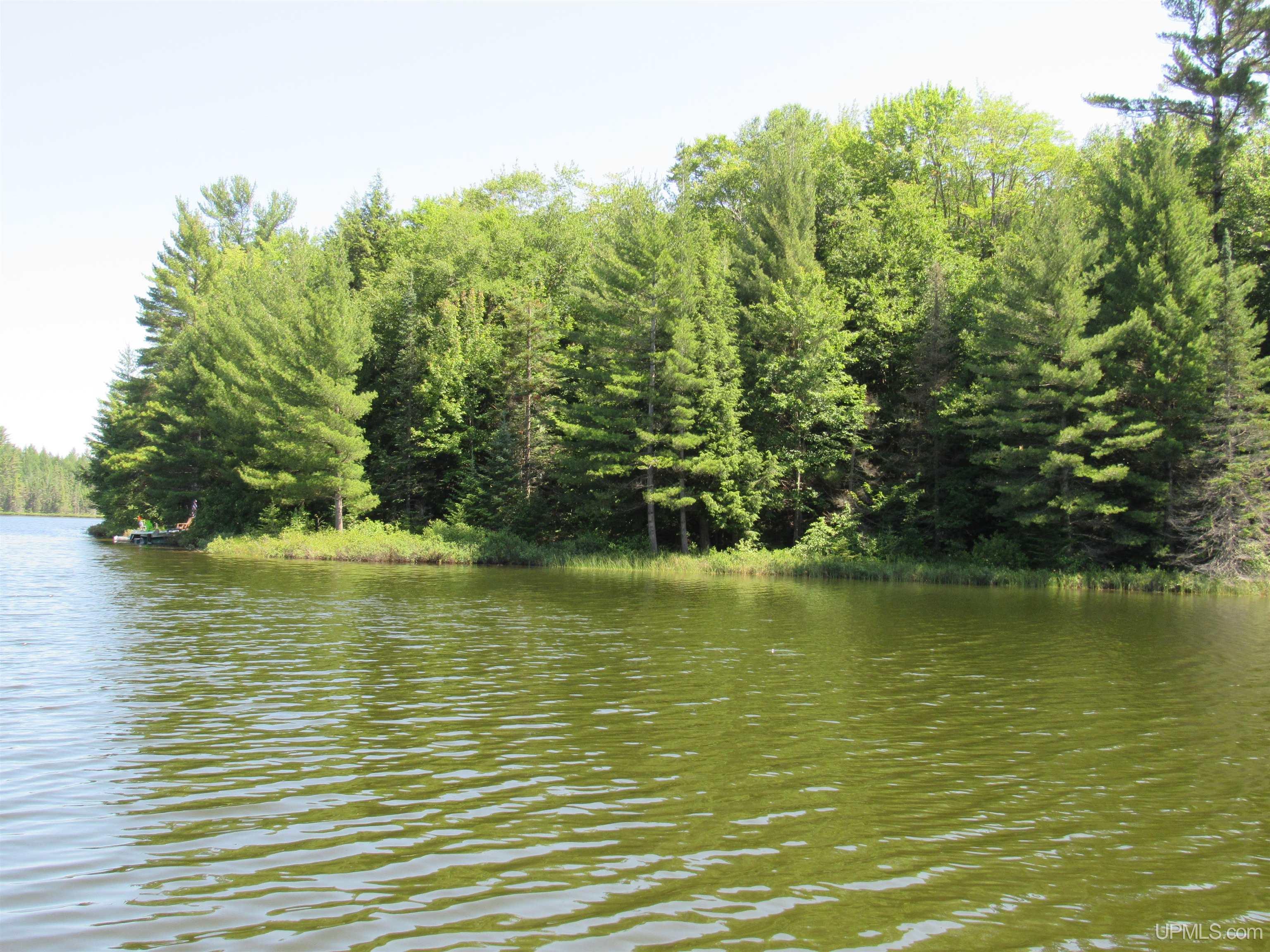3974 North Hayward (access To Angel Island) Road Munising, MI 49862 - Photo 13 of 92