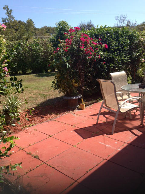 Patio/Backyard