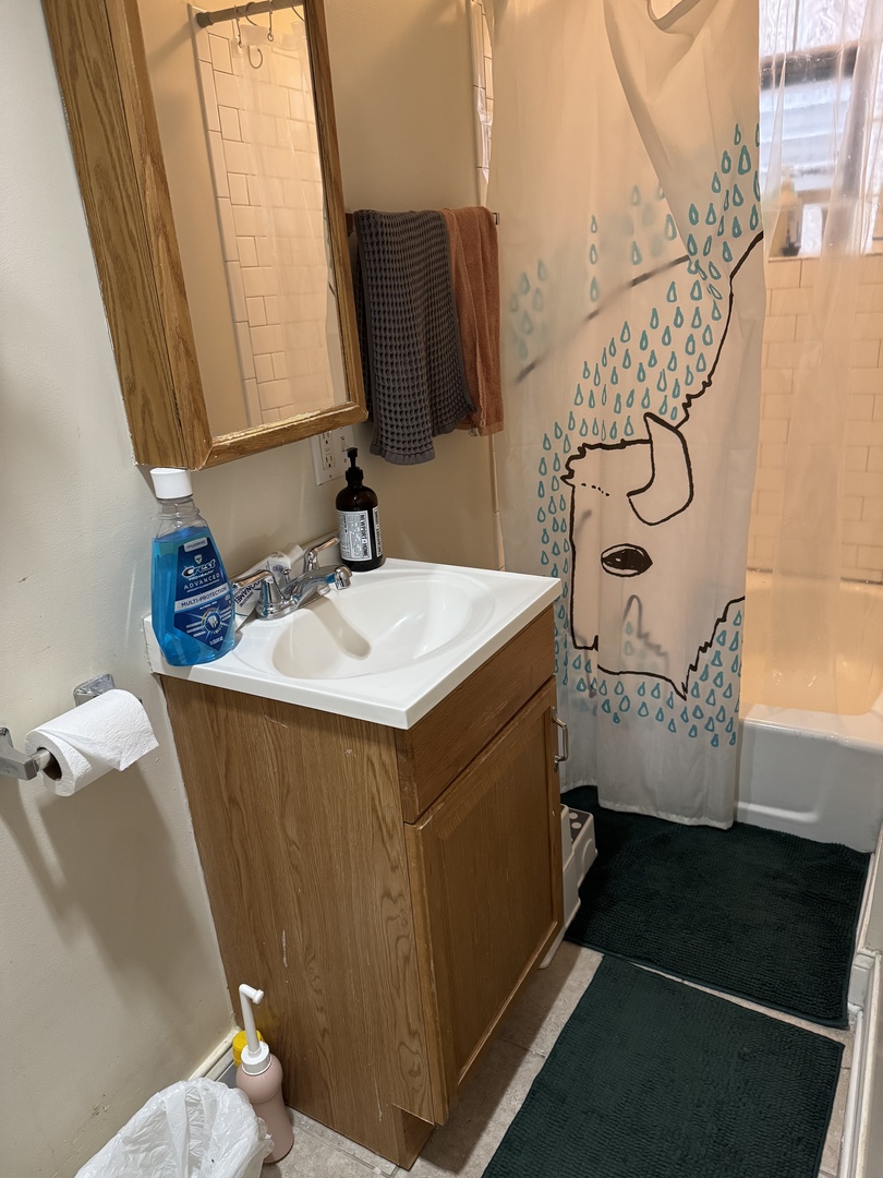 3145 South May Street, Unit 1F Chicago, IL 60608 - Photo 3 of 11