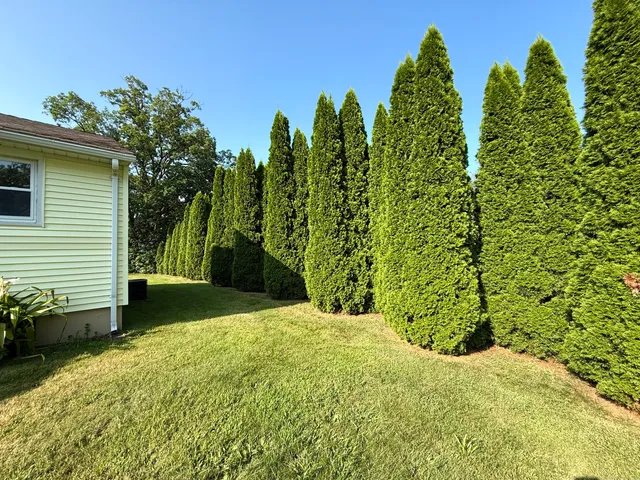 a view of a back yard