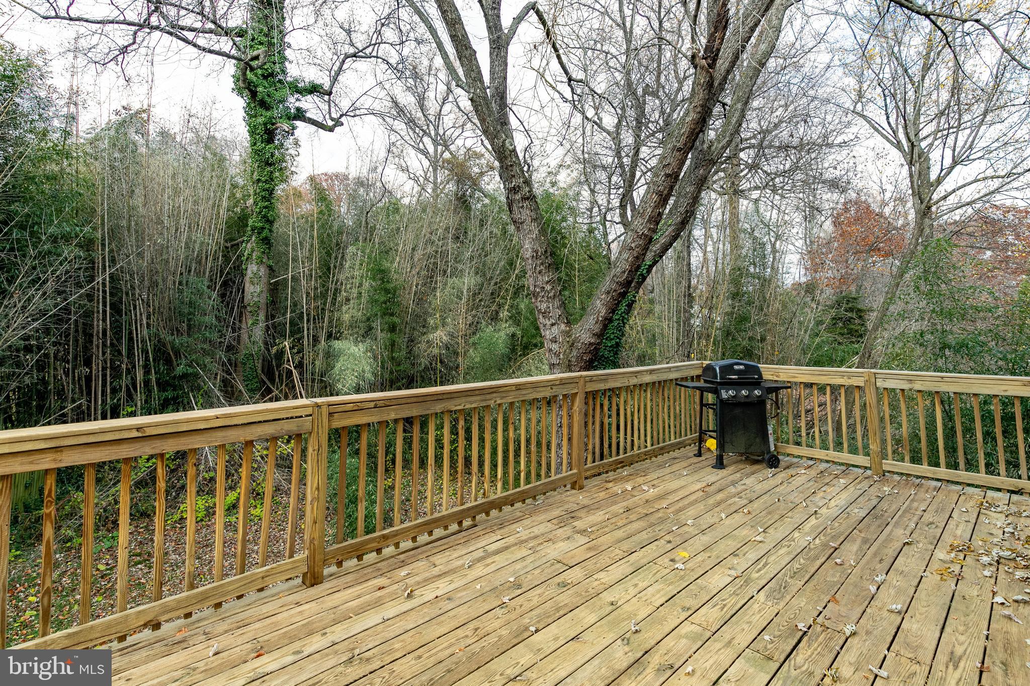 1886 Severn Grove Road Annapolis, MD 21401 - Photo 34 of 44 Gallery Image 34