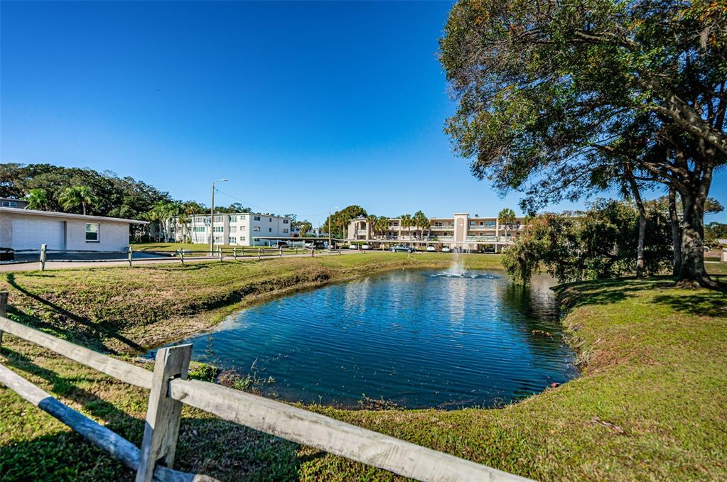 936 Virginia Street, Unit 201 Dunedin, FL 34698 - Photo 34 of 43