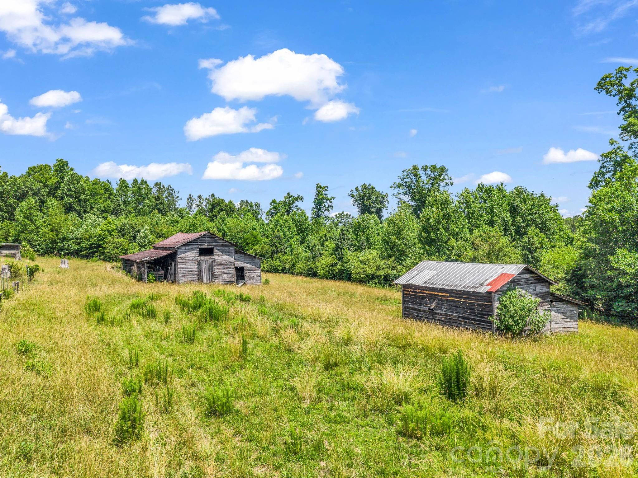 1740 Baber Road Rutherfordton, NC 28139 - Photo 7 of 16