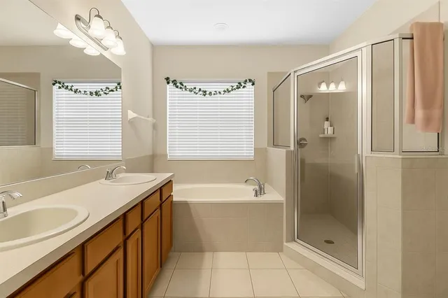 a view of a backyard with large trees