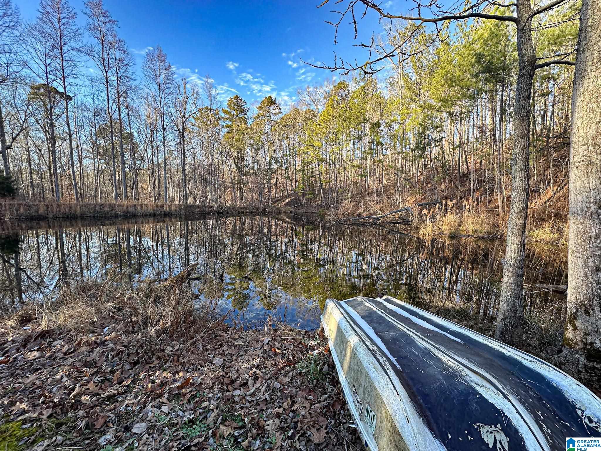 5325 Union T Road Talladega, AL 35160 - Photo 3 of 83