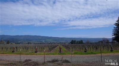 4190 Big Ranch Road Napa, CA 94558 - Photo 1 of 10 an aerial view of a yard