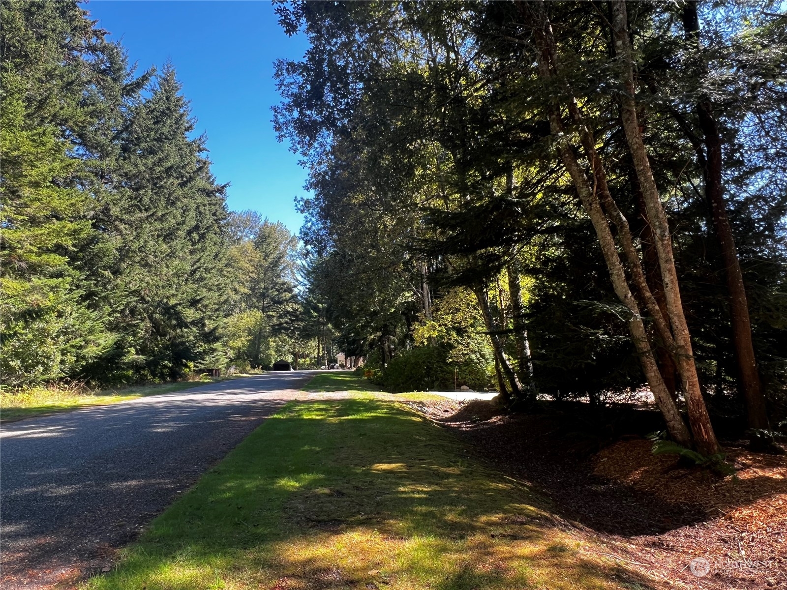 0 Dogwood Way Point Roberts, WA 98281 - Photo 5 of 5