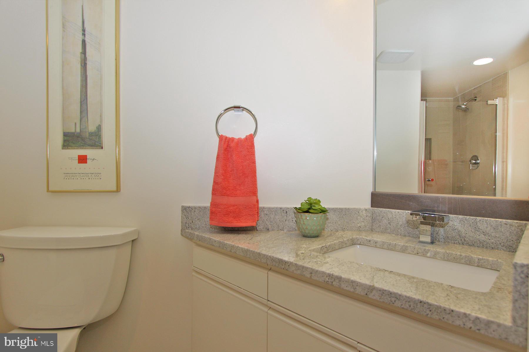 11596 Newport Cove Lane Reston, VA 20194 - Photo 19 of 30 Bath