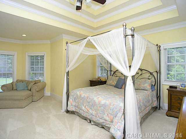 401 Langston Pl Drive Fort Mill, SC 29708 - Photo 10 of 16 Gallery Image 10