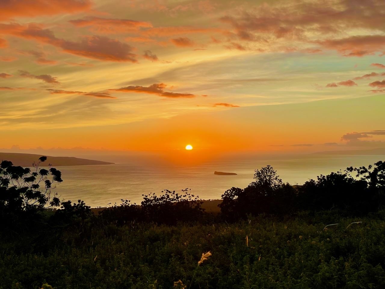 0 Ulupalakua Road Kula, HI 96790 - Photo 24 of 31 Gallery Image 24