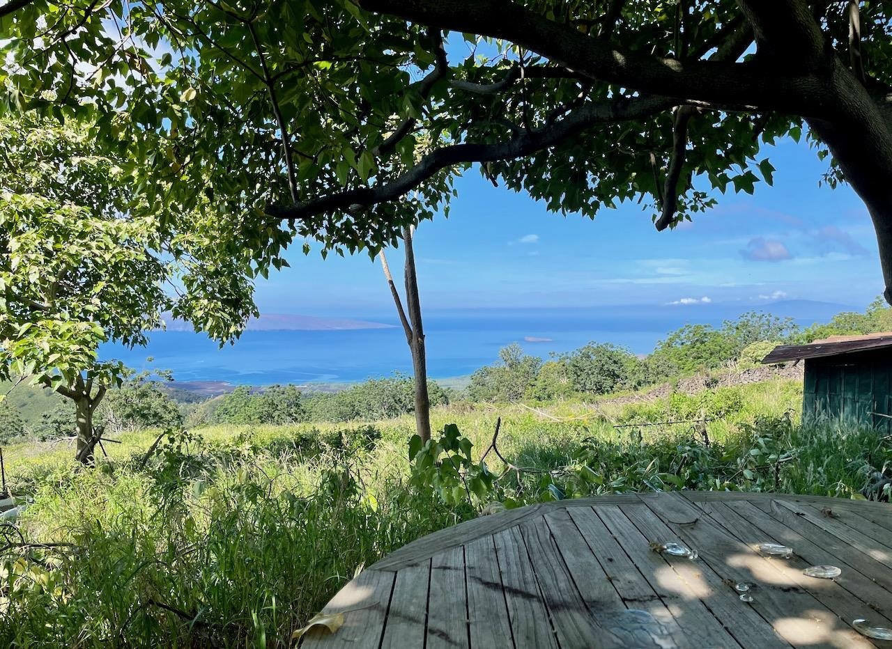 0 Ulupalakua Road Kula, HI 96790 - Photo 8 of 31 Gallery Image 8