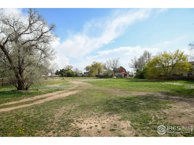 a view of yard with green space