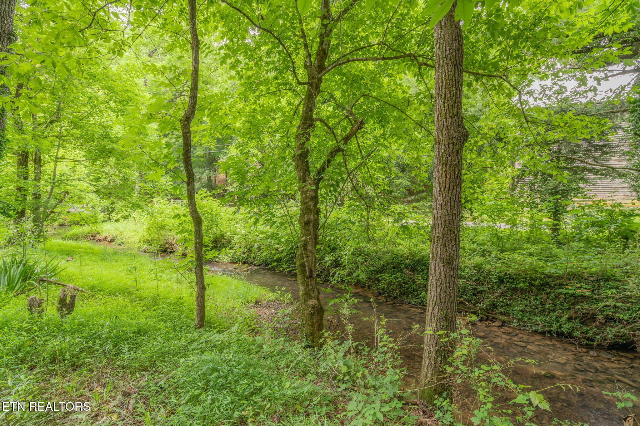 8013 Neubert Springs Road Knoxville, TN 37920 - Photo 45 of 47 Gallery Image 45