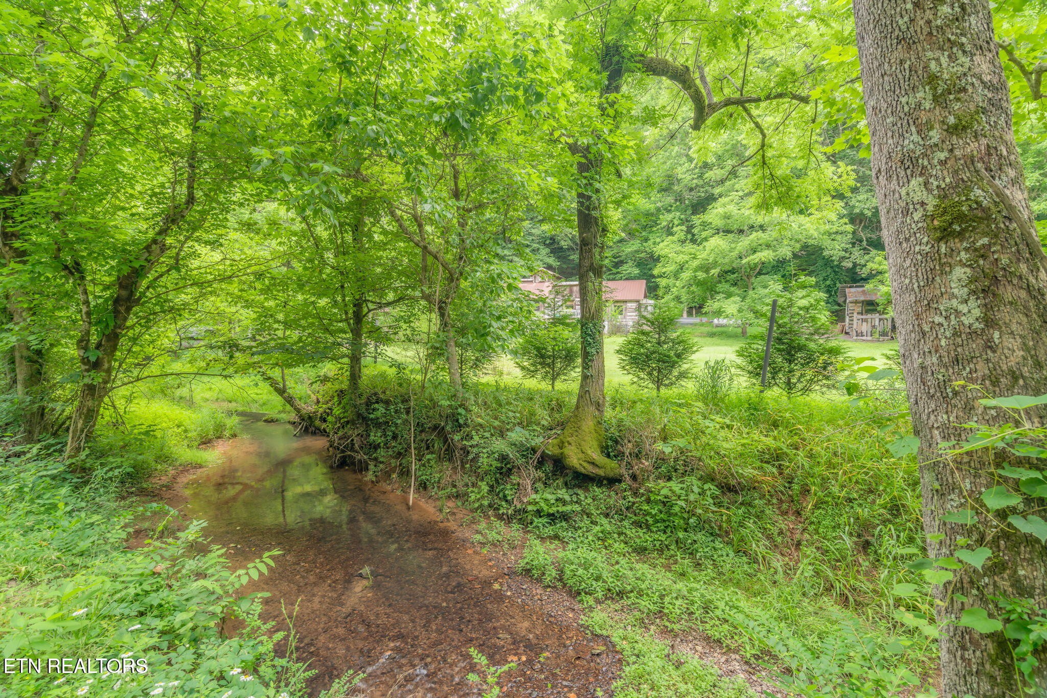 8013 Neubert Springs Road Knoxville, TN 37920 - Photo 46 of 47 Gallery Image 46
