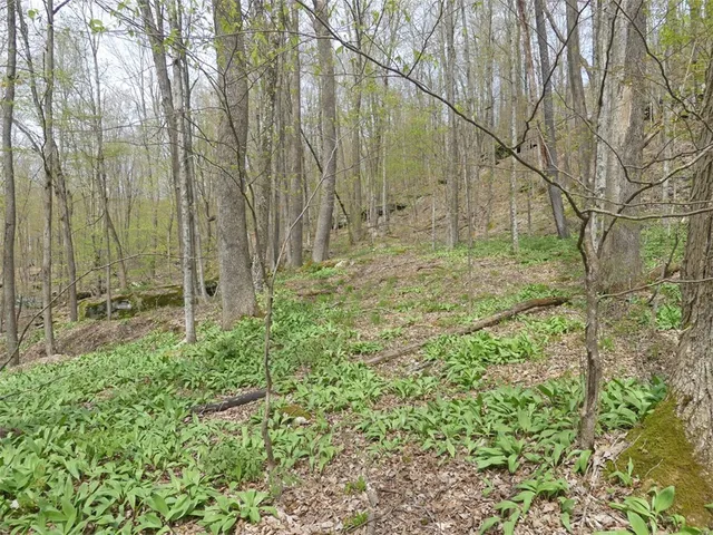 $68,000 | Lot 26 Timberland Drive, Andes, NY 13731