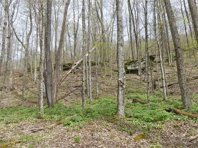 $68,000 | Lot 26 Timberland Drive, Andes, NY 13731
