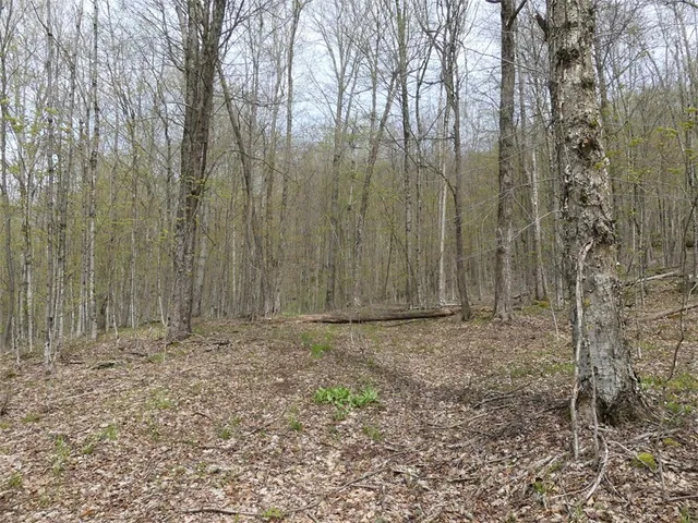 $68,000 | Lot 26 Timberland Drive, Andes, NY 13731