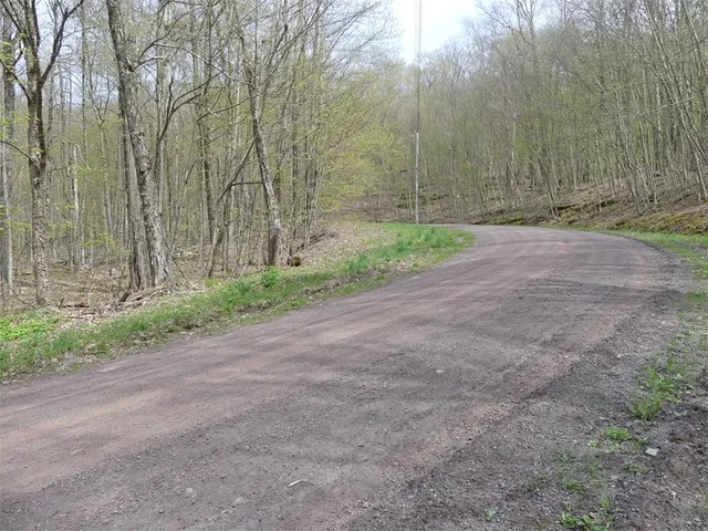 $68,000 | Lot 26 Timberland Drive, Andes, NY 13731