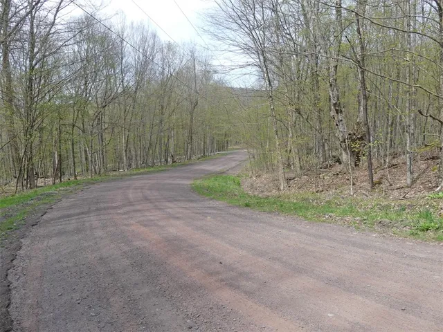 $68,000 | Lot 26 Timberland Drive, Andes, NY 13731