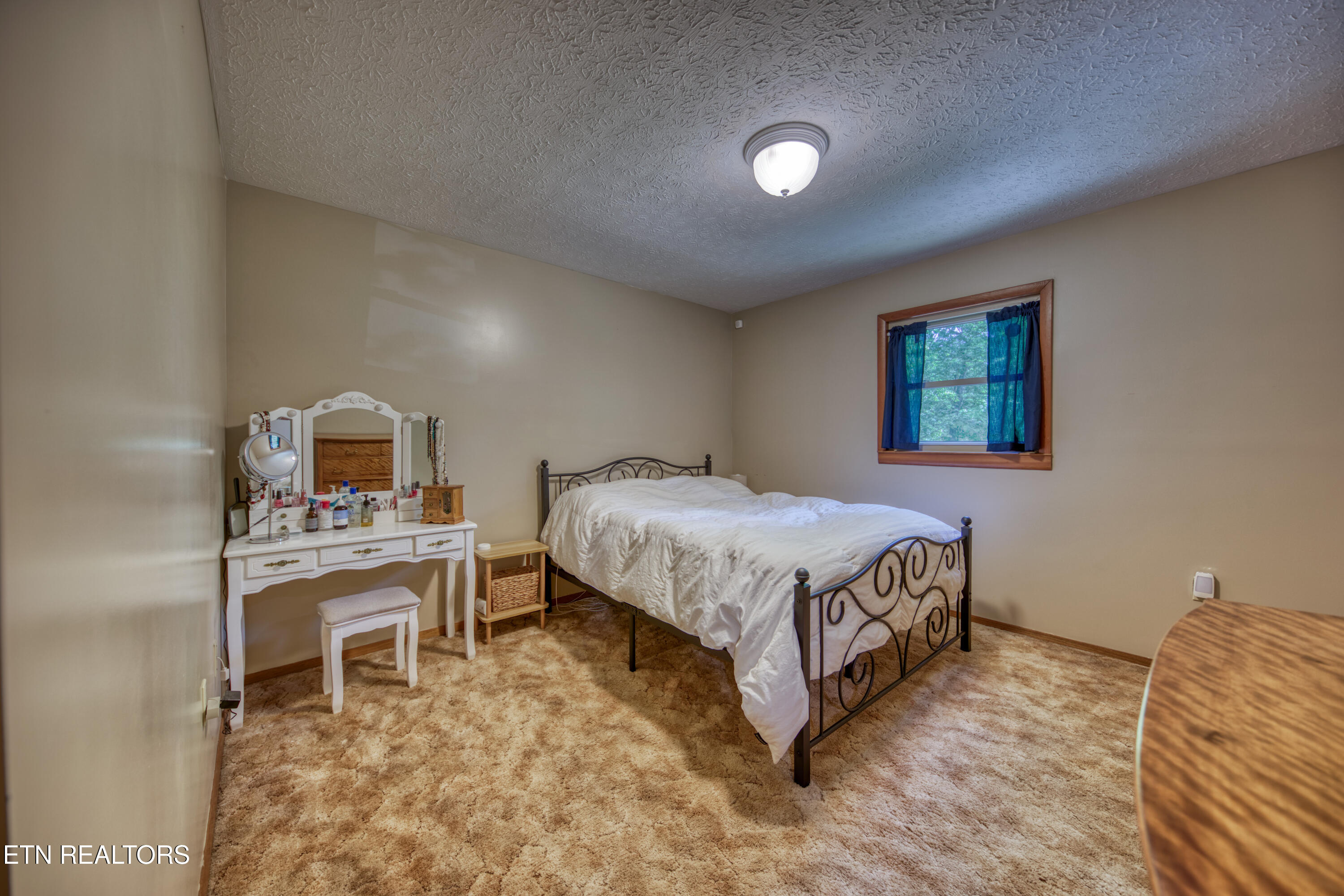 911 Big Ridge Road Oneida, TN 37841 - Photo 43 of 49 0H3A7226_43