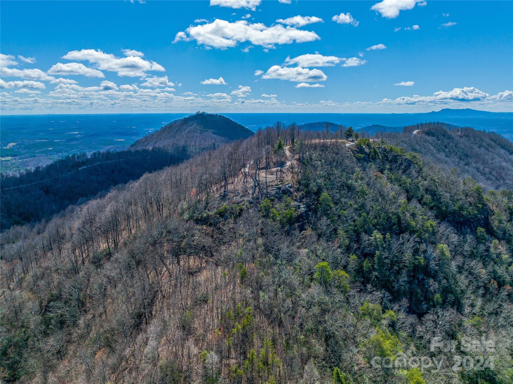 0 Devin Ridge Ln Union Mills, Unit 96 Union Mills, NC 28167 - Photo 28 of 30