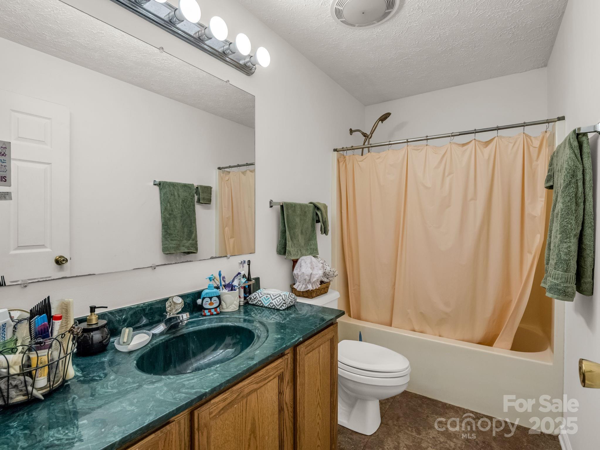262 Daisy Lane Bostic, NC 28018 - Photo 14 of 48 a bathroom with a granite countertop sink a toilet and a shower curtain