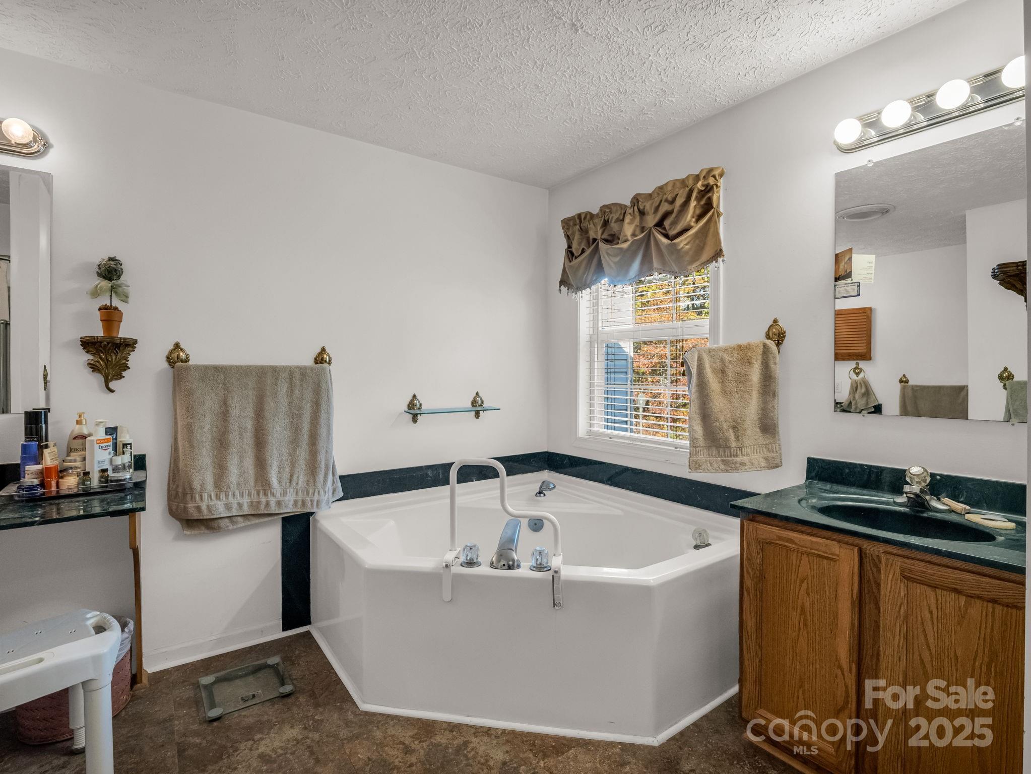 262 Daisy Lane Bostic, NC 28018 - Photo 19 of 48 a bathroom with a bathtub and a sink