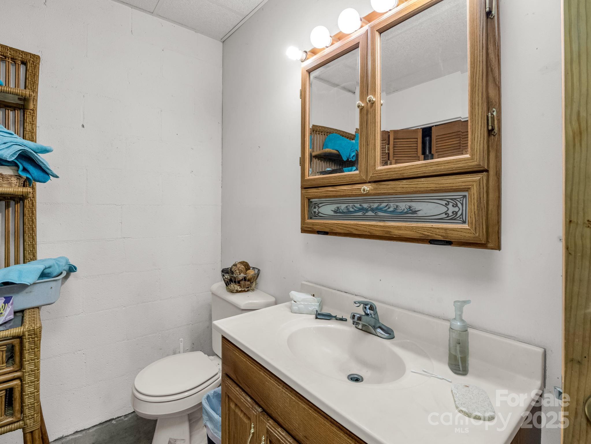 262 Daisy Lane Bostic, NC 28018 - Photo 28 of 48 a bathroom with a sink and a mirror with toilet