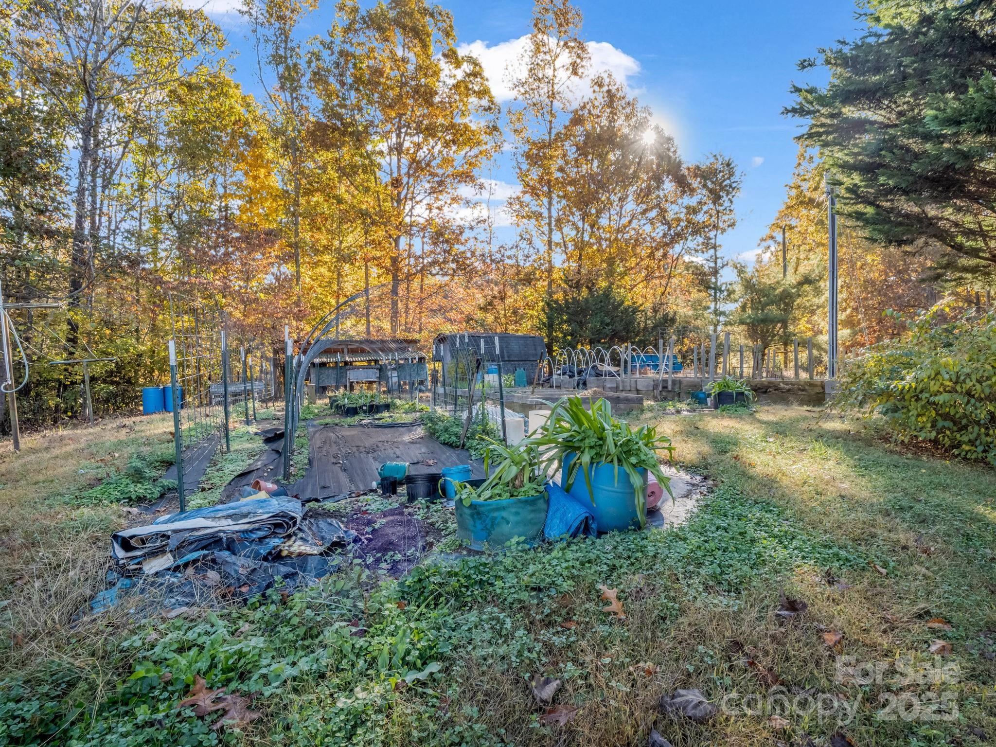 262 Daisy Lane Bostic, NC 28018 - Photo 33 of 48 a backyard of a house with lots of green space