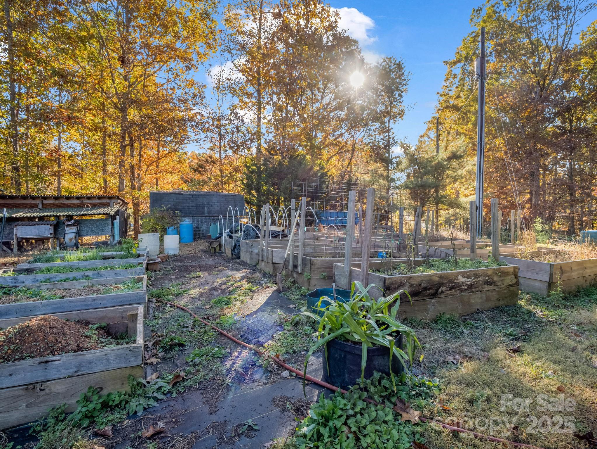 262 Daisy Lane Bostic, NC 28018 - Photo 34 of 48 a view of a garden with a fountain