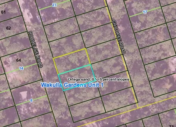 $16,900 | Lot 4 Rochelsie Road, Crawfordville, FL 32327