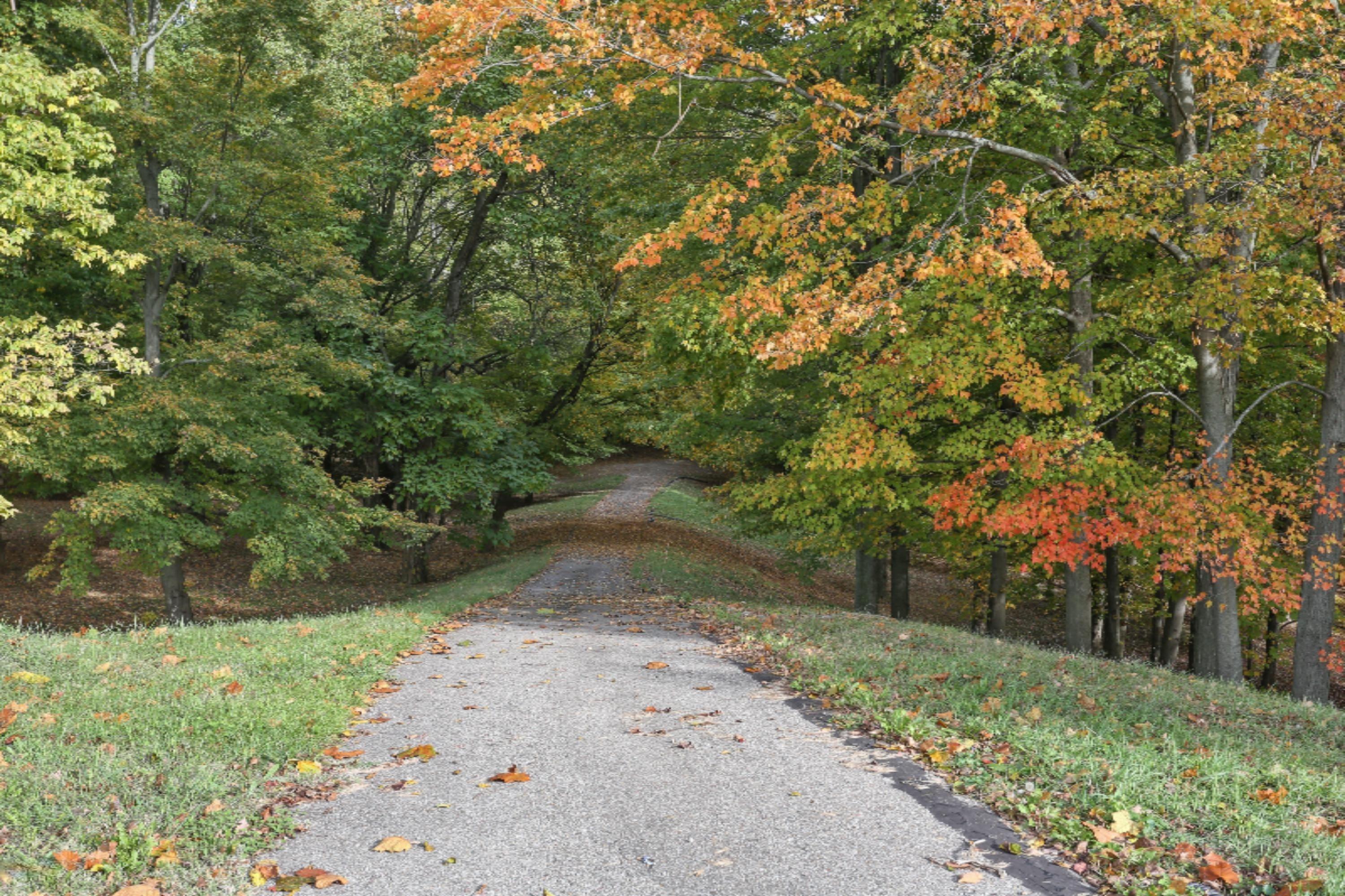 5563 West Spring Creek Road Three Oaks, MI 49128 - Photo 27 of 34 20_5563SpringCreekRd_2001_HiRes