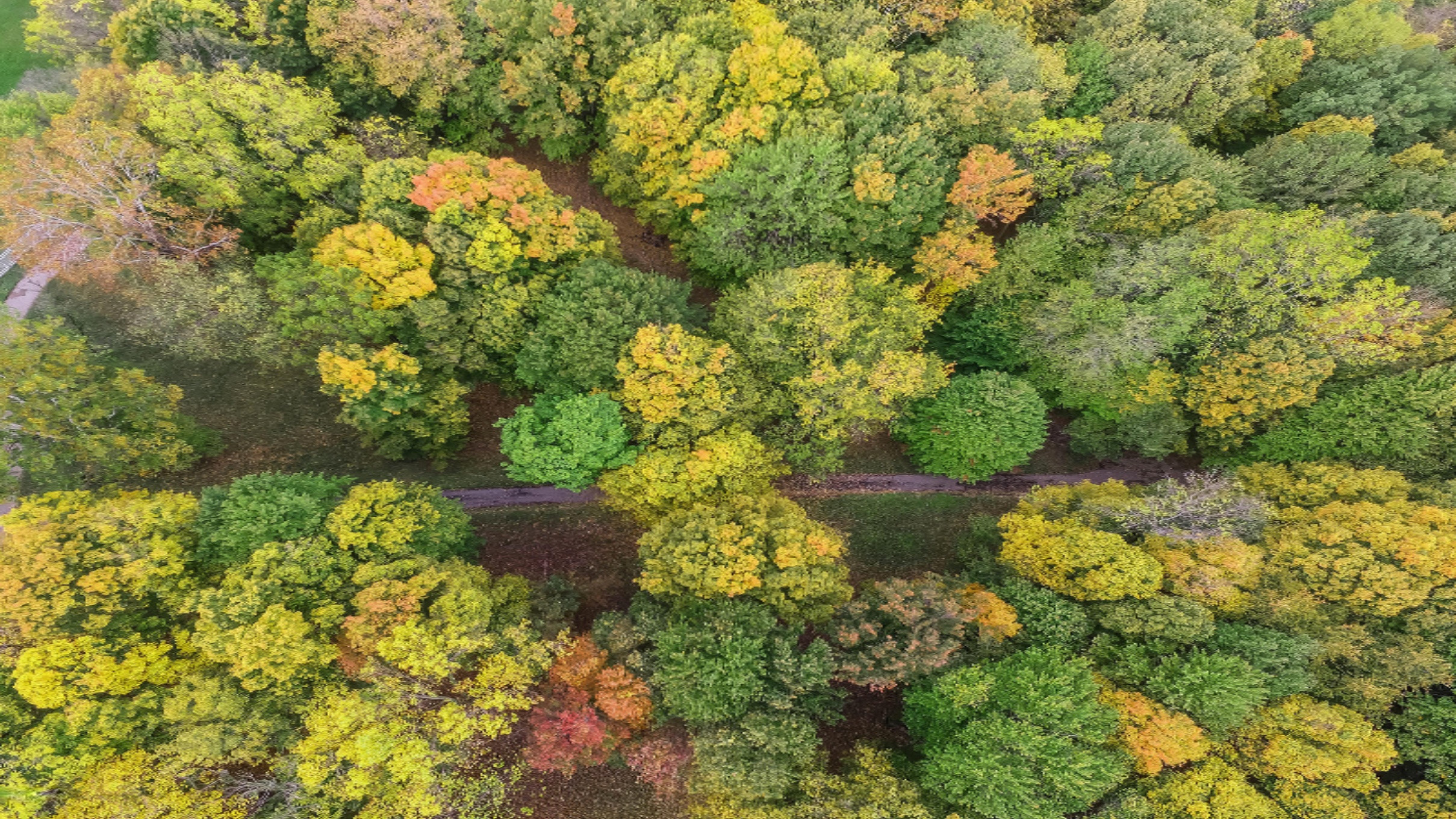 5563 West Spring Creek Road Three Oaks, MI 49128 - Photo 28 of 34 5563SpringCreekWalkingTRsDJI_0013