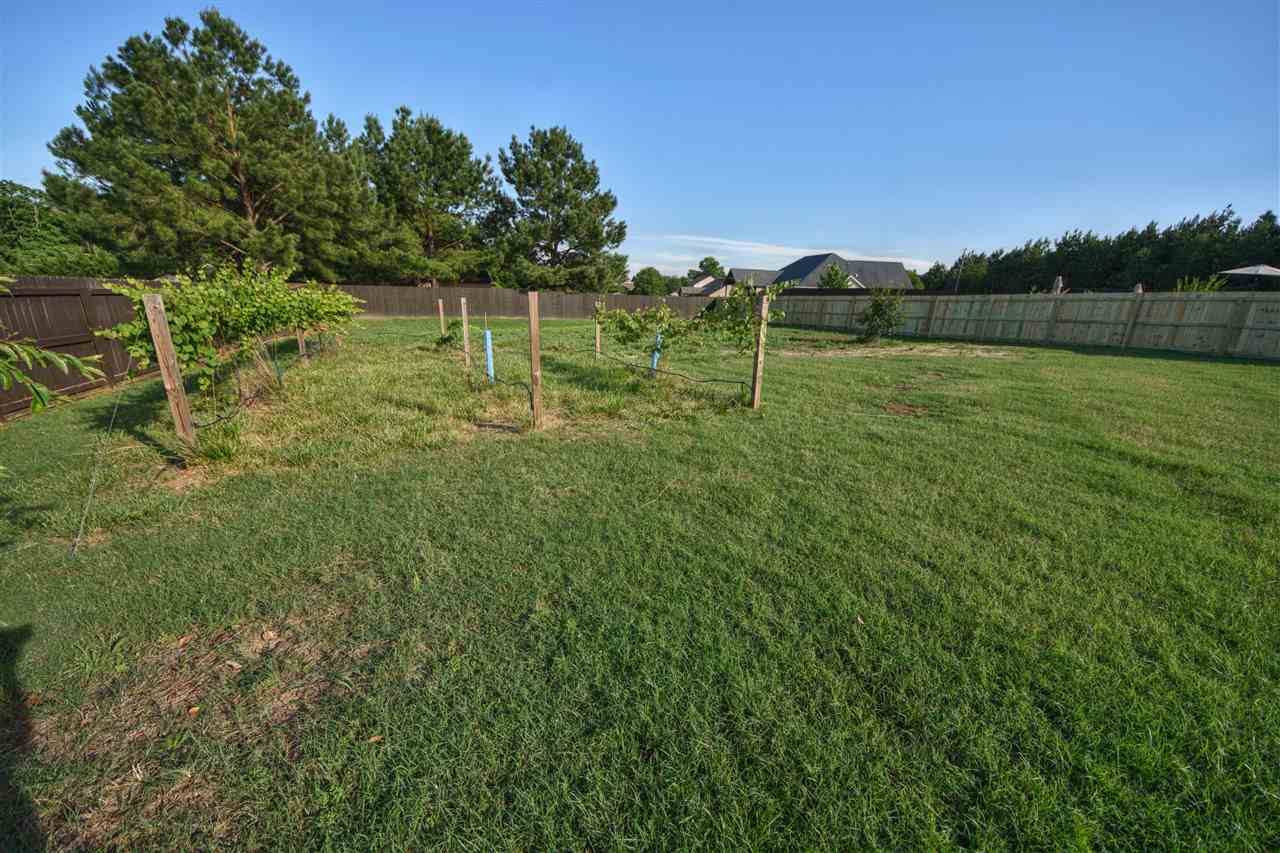 373 Silver Lake Road Duncan, SC 29334 - Photo 34 of 35 Gallery Image 34