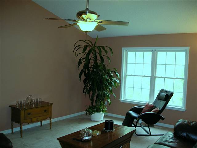 311 Warbranch Road, Unit 29630 Central, SC 29630 - Photo 6 of 24 Gallery Image 6