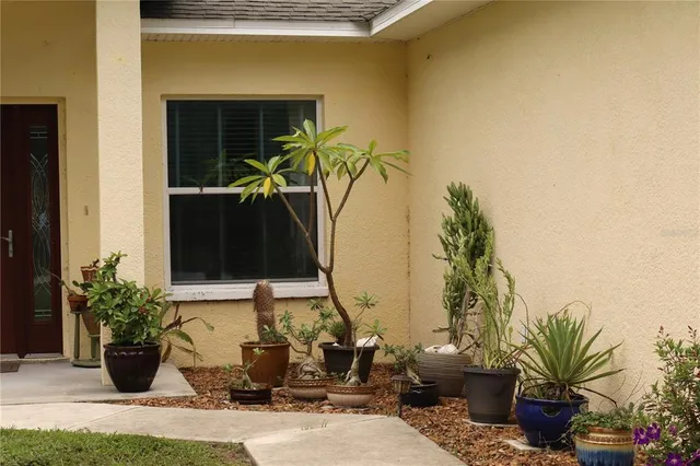 a potted plant sitting in front of a house