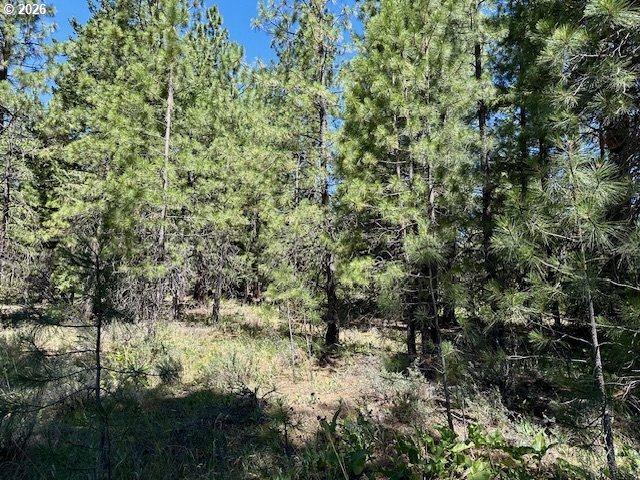 41 Timber Drive Goldendale, WA 98620 - Photo 14 of 23