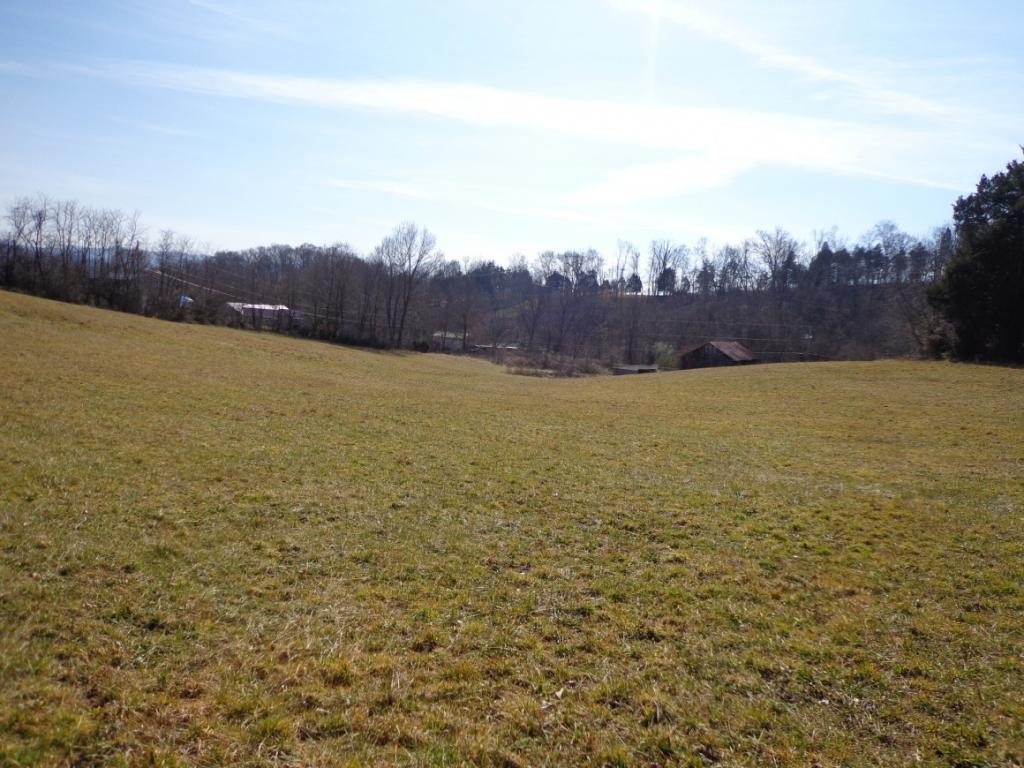 Tbd Watauga Road Elizabethton, TN 37643 - Photo 5 of 8 Photo 5