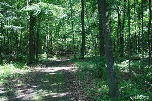 1273 Brogan Road Stockbridge, MI 49285 - Photo 7 of 7 hunt in your own back yard woods
