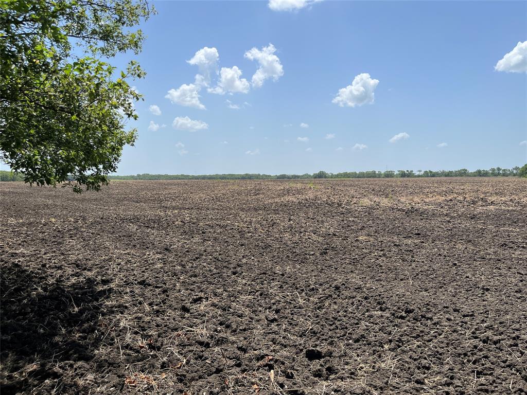 910 Kentucky Town Road Whitewright, TX 75491 - Photo 16 of 22